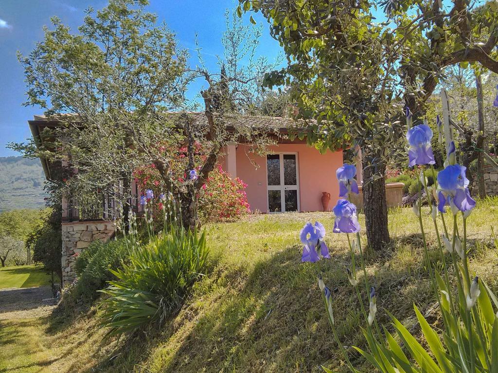 Tuscany Roses Αρέτσο Εξωτερικό φωτογραφία